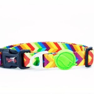 Tailpetz Rainbow Boyun Tasması S