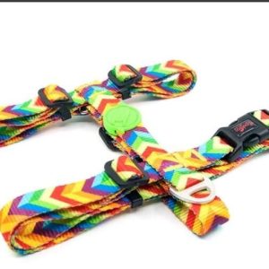 Tailpetz Rainbow Göğüs Tasmasi XS